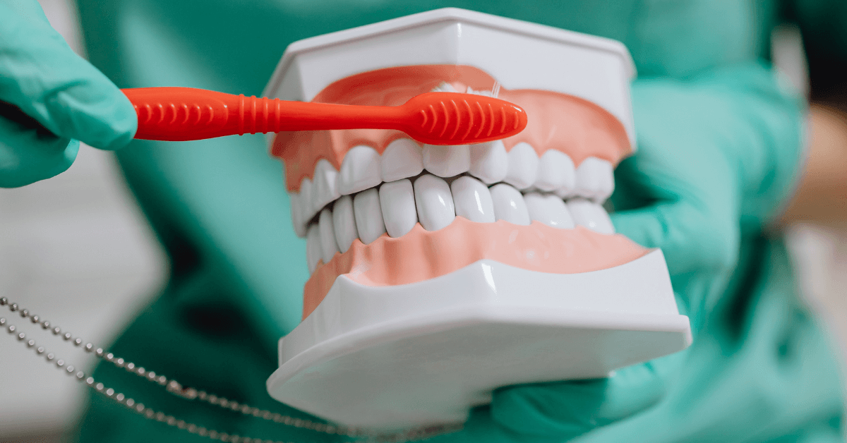Close up of hands holding dentures being cleaned with a toothbrush