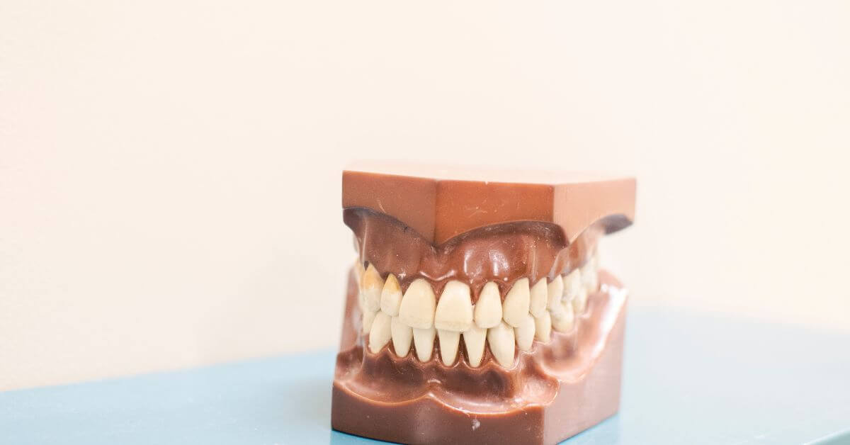 dentures on display